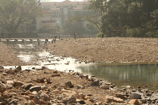 森林公園