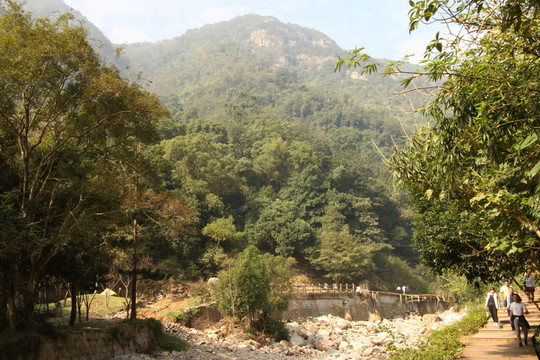 森林公園