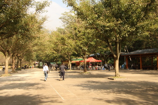 森林公園