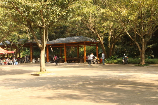 森林公園
