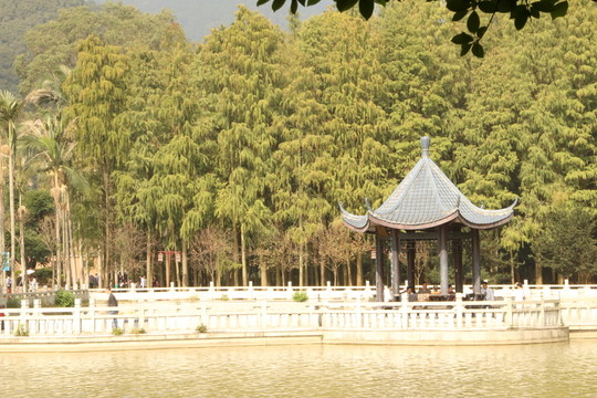 森林公園