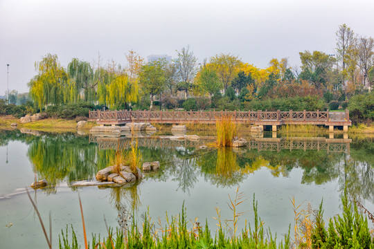 水系園林景觀