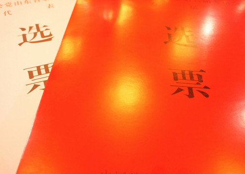 選舉選票 民主