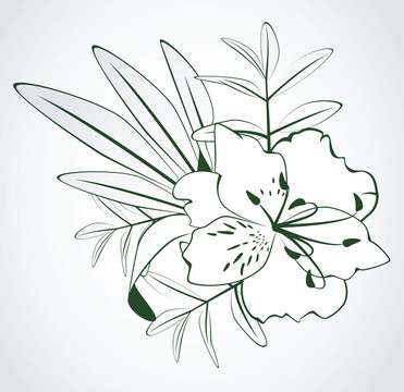 白色背景上的花。
