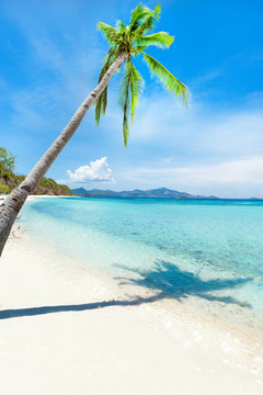 熱帶海灘Malcapuya