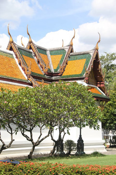 曼谷的樹木和白色的寺廟