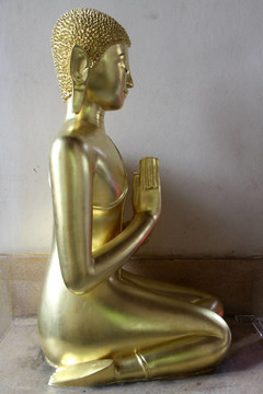 金菩薩