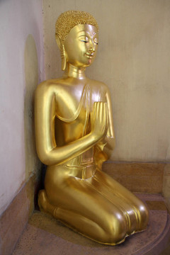 金菩薩