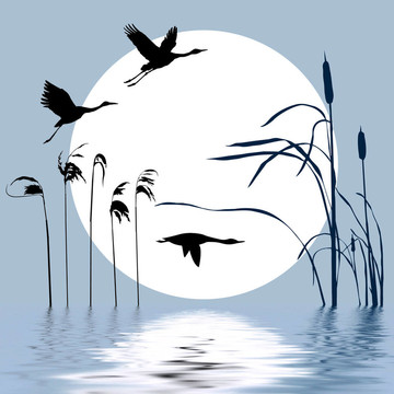 在背景上畫飛的鳥(niǎo)
