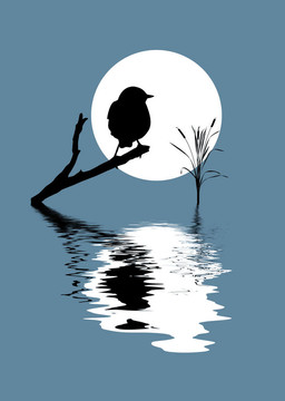 輪廓鳥在樹枝上