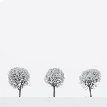 冬季景觀