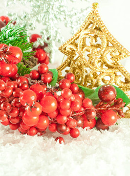 圣誕樹(shù)枝與一個(gè)金色的毛皮樹(shù)對(duì)雪
