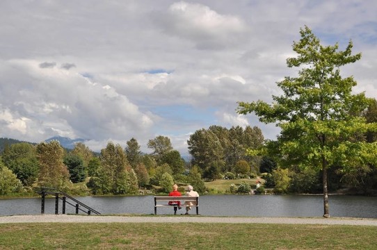 自然公園景色