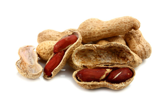 花生