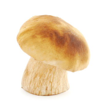CEP