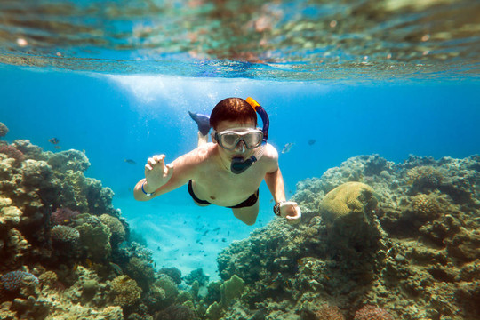 Snorkeler。紅海