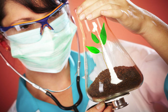 科學(xué)家檢查生命的健康