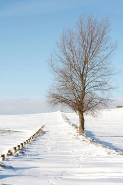 雪