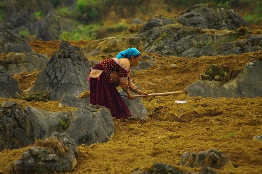 女性農(nóng)民