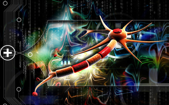 神經(jīng)元