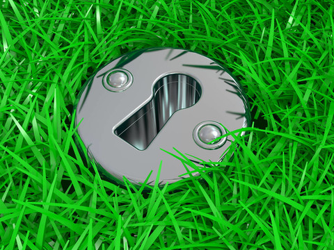 綠草上的鑰匙孔