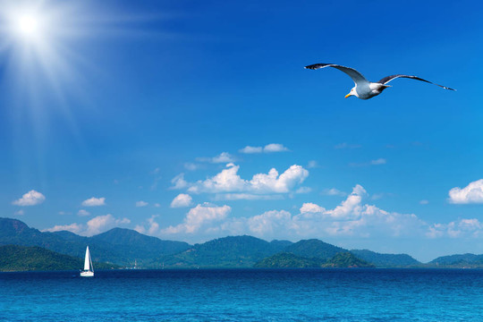 濱海景觀
