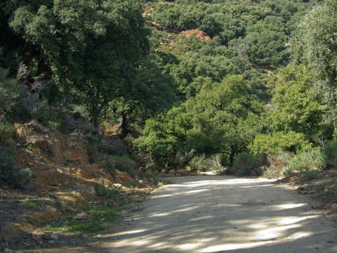 穿越山脈的道路