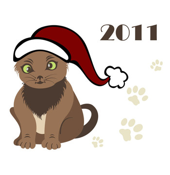 新年2011貓