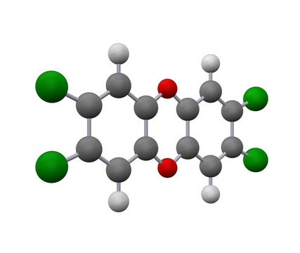 分子模型