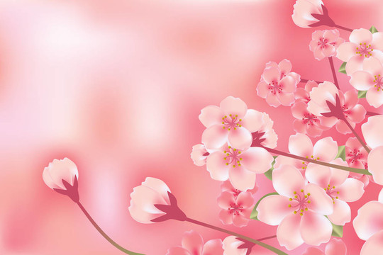 抽象豪華櫻花