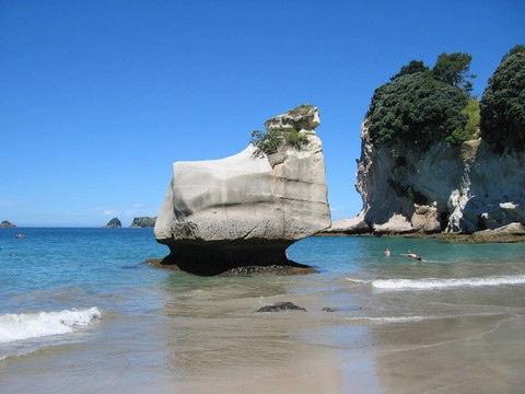 在教堂灣在新西蘭島北部的科羅曼德爾半島美麗的海灘