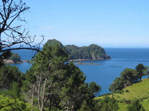 新西蘭綠海岸