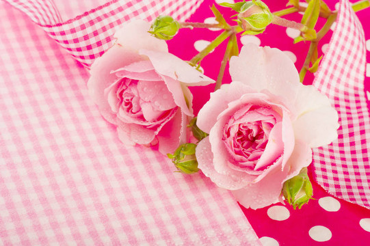 粉薔薇