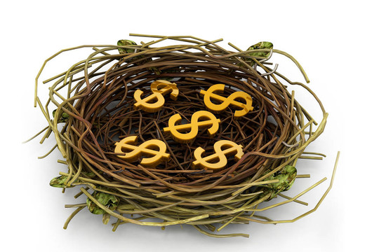 鳥巢里的美元符號(hào)