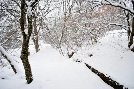 下雪