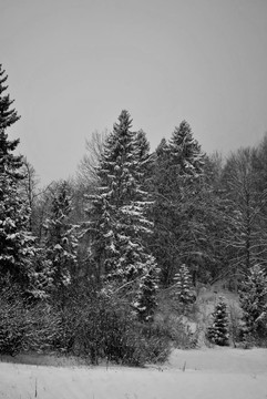 下雪