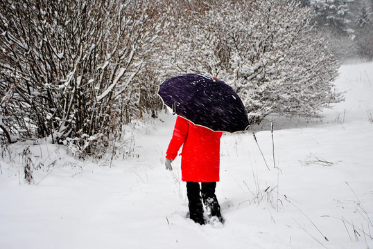 在雪中漫步