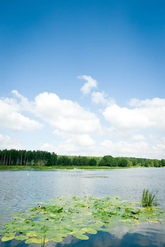 湖