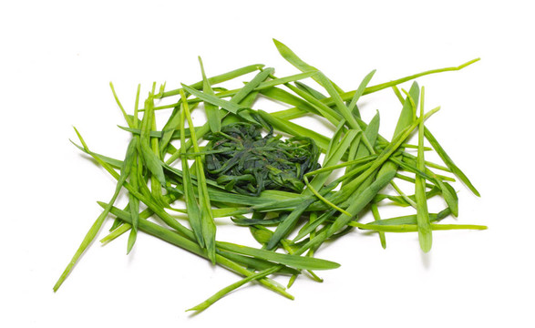 一堆草11