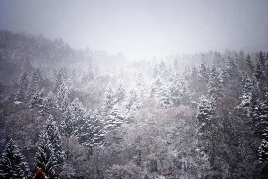 白雪公主