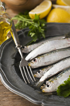 沙丁油魚(yú)