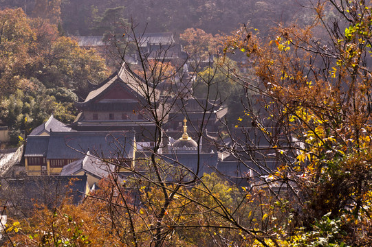 棲霞山楓葉