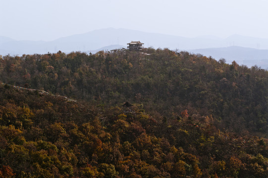 棲霞山楓葉