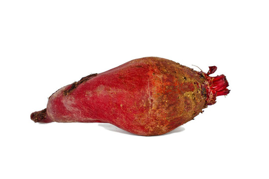甜菜根