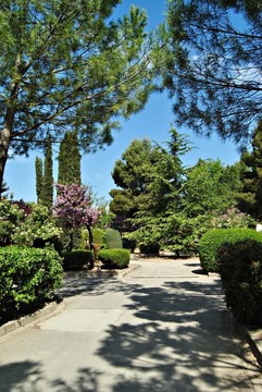公園散步