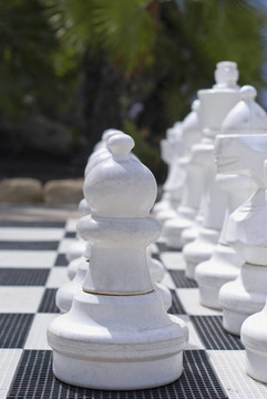 國際象棋