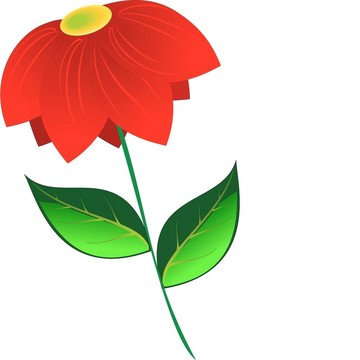 紅色的花
