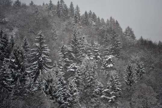 白雪公主