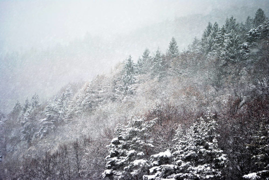 下雪