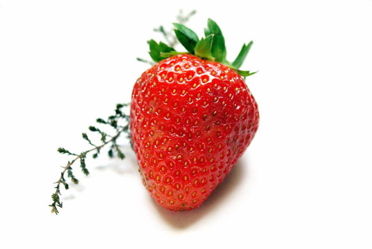 草莓